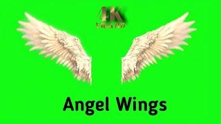 Angel Wings green Screen Effect Video | Angel Wings | RG Green Screen