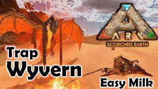 Wyvern Trap Scorched Earth Asa - Wyvern Milk Ark Survival Ascended - Easy Wyvern Trap