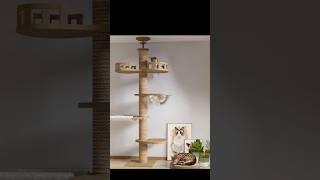 Cat Tree Floor to Ceiling Cat Tower Adjustable Kitten Multi-Level Condo With Scratching Post Pad