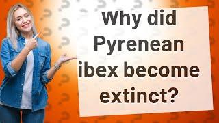 Why did Pyrenean ibex become extinct?