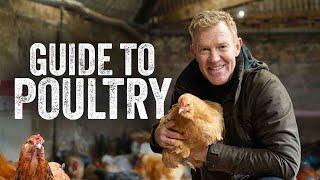 Thinking of Keeping Chickens and Ducks? - Adam Henson's Farm Diaries