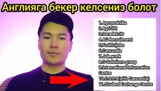 Англияга бекер келүү үчүн 11 сайт. Эртереек очредке туруңуз 09.01.2024/ СапарТВ