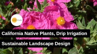 Sustainable Landscaping  | California Native Plants, Drip Irrigation & More!