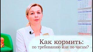 Как кормить малыша: по требованию или по часам? - клиника "Детский Доктор" (Екатеринбург)