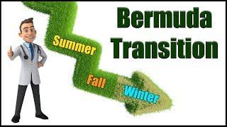 Bermuda Grass Dormancy - Fall Bermuda Care