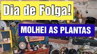 VLOG /DIA DE FOLGA EM PORTUGAL |MOLHEI AS PLANTAS #portugal #folga #vlogs