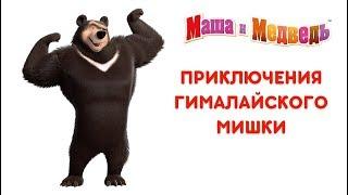 Маша и Медведь - Приключения Гималайского Мишки  Все серии подряд! 