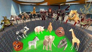 DESTROY MUTANT ANIMALS ZOONOMALY V.S ZOOCHOSIS V.S INDIGO PARK in RAGDOLL ROAD Garry's Mod