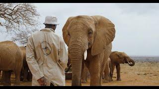 Creating a Future For Elephants | Sheldrick Trust