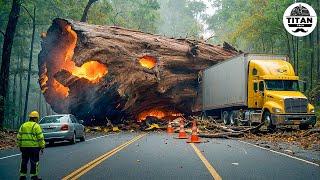 Dangerous Idiots Fastest Truck & Heavy Equipment Fails | Extreme Oversized Truck Transport #5