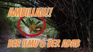 @BILA NEMU BAMBU SEPERTI INI MAKA AMBILLAH (FILOSOFI NYATA UNTUK KITA MANUSIA!!)