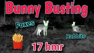 Bunny Busting 》17hmr 》Thermal Pest Control