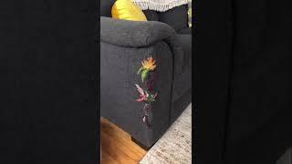  Have your cats RUINED the couch? Try this!