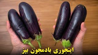 بادمجون رو اینجوری بپز عاشقش میشی | میره تو لیست غذاهای همیشگیت | بدون گوشت ساده ، فوری و خوشمزه