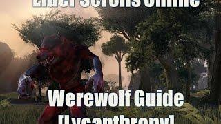 Elder Scrolls Online - Werewolf Guide