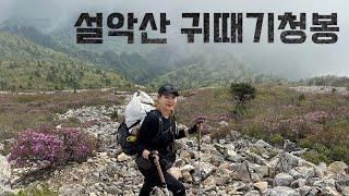 [Hiking] 강원 인제 설악산 등산 | 나홀로 봄비 맞으며 서북능선 타고 귀때기청봉에서 신선놀음 하고 왔어요 | 남교리~한계령 코스 | 설악산 국립공원 | 산림청 100대명산