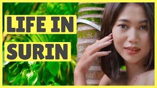 Life in Surin | Surin Province Thailand | Living in Thailand | Surin Isaan ️