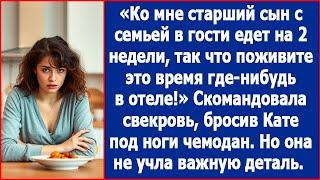 Ко мне старший сын едет погостить, так что поживите пока где-нибудь в отеле. Скомандовала свекровь.