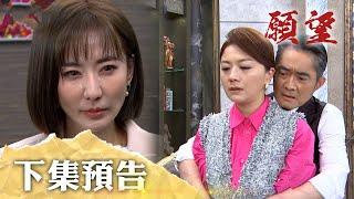 願望 EP133預告｜舊愛還是最美！世賢拋下美妍談分手 回到阿曼達懷抱！家翔自暴自棄不談愛 狠甩曉春留雅萱！｜【PP石墨烯蠶絲超導被】