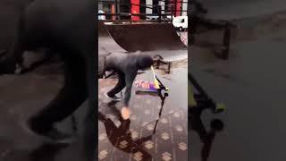 Skate tricks fail