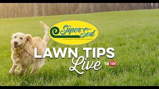 September Lawn Tips Live from Super-Sod of Hendersonville, NC  - Lawn Care Advice for the Southeast