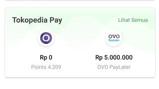 Ovo PayLater Tokopedia