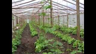 Experiencia social y productiva de la Sociedad de la Sociedad de Fomento rural de Tala. Canelones