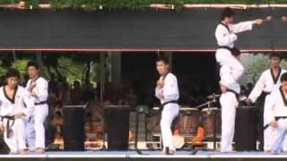 Taekwondo Demonstration 11 : Art Break