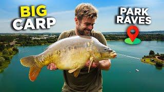 50lb Carp and Park Raves