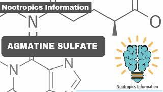 #Agmatine Sulfate - #Nootropics Information