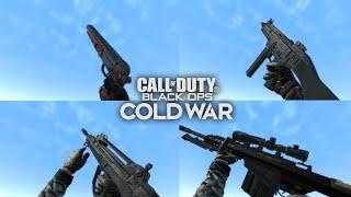 MW Base COD BOCW All Empty Reload and Inspect Animations