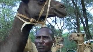 Northern Kenya: Samburu District, Walking Down to Sware via Irrer