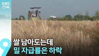 쌀 남아도는데 밀 자급률은 하락…“밀, 생산·소비 같이 늘려야” / KBS  2024.10.04.