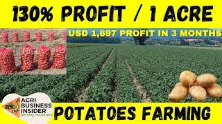 How to Start A Potatoes Farming Business (1 Acre Potatoes Farming Cost & Profit Analysis )