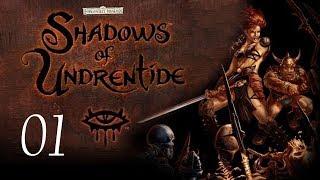 Neverwinter Nights: Shadows of Undrentide - 01 - Introduction