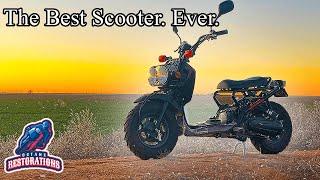 Honda Ruckus (NCS50) Ride and Review, The BEST Scooter. Ever.
