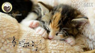 Soothing Music for Cats (with cat purring sounds) - Anxiety and Stress Relief