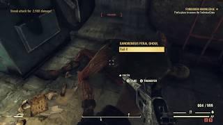 Fallout 76 mutation farming