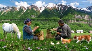 From the Mountain to the Table: Picking Priceless Wild Garlic for Incredible Stuffed Bread!