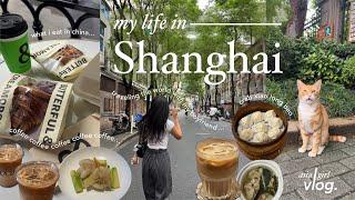 shanghai diaries  | traveling the world with my boyfriend + eating our way through china