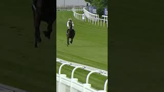 Jockey jumps off horse at 40mph!