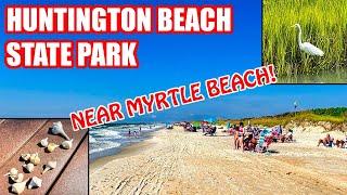 Huntington Beach State Park Tour! | Things to Do Near Myrtle Beach