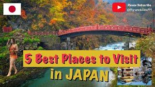 Top 5 Best Places to Travel in JAPAN - Japan Travel Guide!