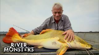 Jeremy Wade's UNEXPECTED and ACCIDENTAL Catches | River Monsters