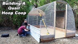 HOOP COOP for 100 Quail. Building a quail paradise for our new Coturnix Quail.