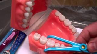 Flossing Technique - Oral Hygiene Instructions by Dr. Berdy, periodontist Jacksonville, FL