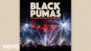 Black Pumas - Know You Better (Live From Brooklyn Paramount)