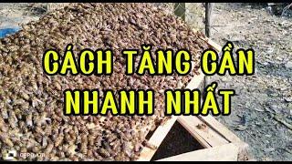 Khi thử thành công quá đẹp