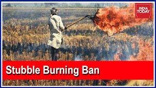 Why Are Punjab, Haryana Farmers Still Burning Stubble Despite Ban?