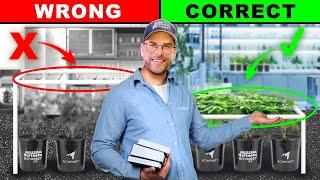 The Best Scrogging Setup for Your Garden?! | Scrog School Episode 8